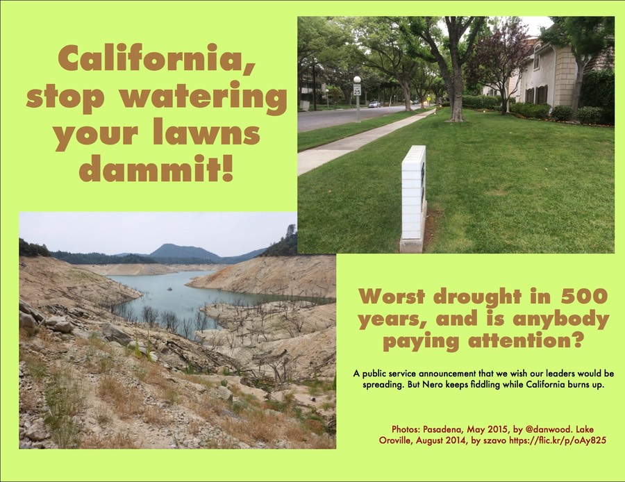 California, stop watering your lawns dammit! Worst drought in 500 years, and is anybody paying attention?