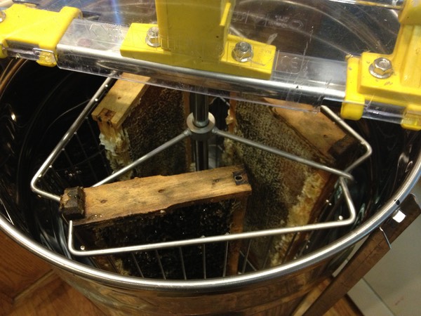 Sweet Home Alameda — honey frames in extractor