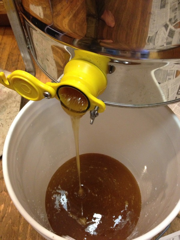 Sweet Home Alameda — pouring honey out of extractor